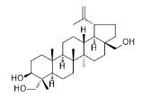 23-羟基桦木醇标准品