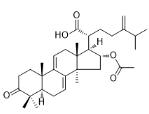 16-O-Acetylpolyporenic acid C标准品