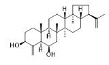 21αH-24-Norhopa-4(23),22(29)-diene-3β,6β-diol标准品