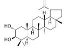 Lup-20(29)-ene-2α,3β-diol标准品