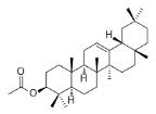 β-香树脂醇乙酸酯标准品