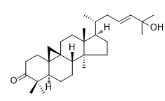 25-羟基环木菠萝-23-烯-3-酮标准品