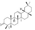 β-香树脂酮标准品