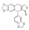 7,7'-二氢黄嘌呤C标准品