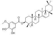 (3,4-Dihydroxy-5-methoxybenzoyl)taraxerol标准品