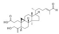 Coronalolic acid标准品