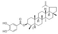 3,4-二羟基苯甲酰卢贝醇标准品