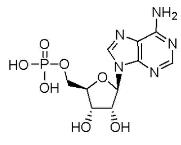 5-腺苷一磷酸标准品