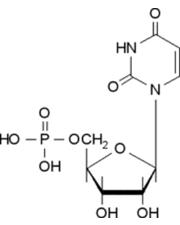 5-尿苷一磷酸标准品