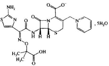 头孢他啶对照品