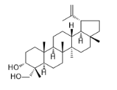 Lup-20（29）-烯-3α，23-二醇标准品