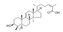 3β-羟基酰基诺斯塔9（11），24Z-二烯-26-油酸标准品