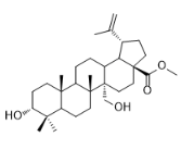 3,27-二羟基-20(29)-流明-28-酸甲酯标准品