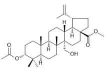 3α-乙酰氧基-27-羟基-20（29）-lupen-28-油酸甲酯标准品