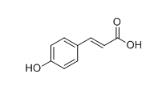 反式对羟基肉桂酸标准品