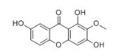 1,3,7-三羟基-2-甲氧基呫吨酮标准品