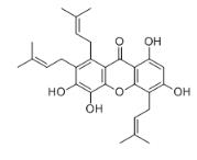 异藤黄氧蒽酮 E标准品