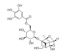 苯甲酰没食子酸芍药苷标准品