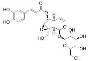 梓醇6-咖啡酸酯标准品