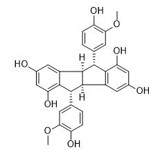 非洲黑麦草标准品