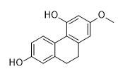 4,7-二羟基-2-甲氧基-9,10-二氢菲标准品
