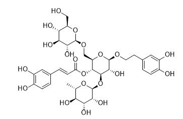 松果菊苷标准品