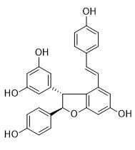 ε-葡萄素标准品