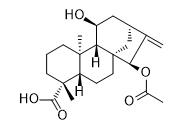 ent-15α-Acetoxy-11α-hydroxykaur-16-en-19-oic acid标准品