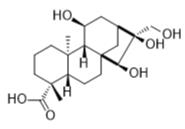 腺苷酸C标准品