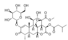 鸦胆子苷A标准品