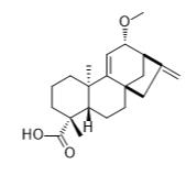 12α-甲氧基大花蟛蜞菊烯酸标准品