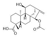 ent-15α-Acetoxy-11α-hydroxykaur-16-en-19-oic acid标准品