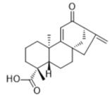 12-氧代大花蟛蜞菊烯酸标准品
