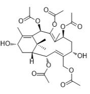 13-脱乙酰紫杉三烯A标准品