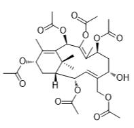 癸氨酰基紫杉碱J标准品