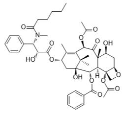 N-甲基紫杉醇C标准品