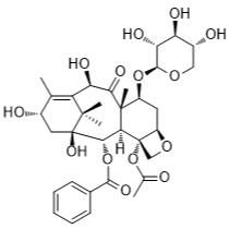7-木糖基-10-去乙酰基浆果赤霉素III标准品