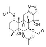 酪蛋白E标准品