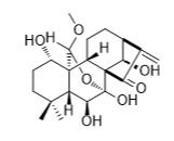 牛尾草素 F标准品