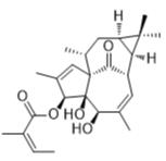 20-脱氧巨大戟醇3-当归酸酯标准品