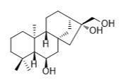 贝壳杉烷-6β,16,17-三醇标准品