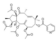 3,5,7,15-四乙酰氧基-9-烟酰氧基-6（17），11-麻风树酯-14-一标准品
