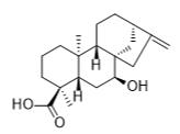 二十碳烯酸标准品