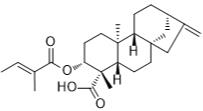 ent-3β-Tigloyloxykaur-16-en-19-oic acid标准品