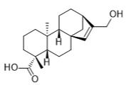 17-羟基喹啉-15-烯-19-油酸标准品