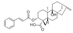 3α-肉桂酰氧基丙烷L3标准品