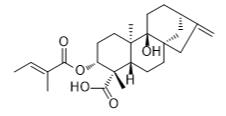 3α-Tigloyloxypterokaurene L3标准品