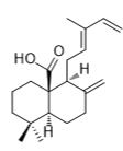 8(17),12E,14-Labdatrien-20-oic acid标准品