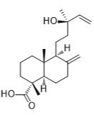 13-羟基赖百当-8(17),14-二烯-18-酸标准品