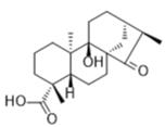 ent-9-Hydroxy-15-oxokauran-19-oic acid标准品